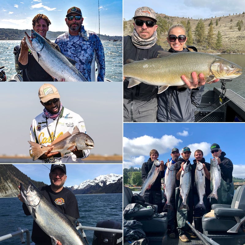 PROcure Pro-Cure Crappie & Panfish Magic Super Gel, 8 Ounce - Image 3